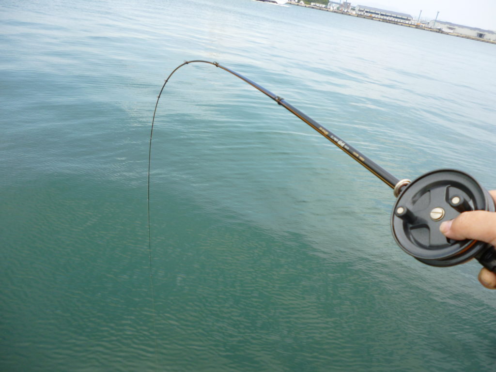 軟調竿と目印を使った初心者でも簡単な黒鯛チヌの落とし込み釣り Namihablog